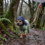 Mint & Navy Waterproof Dog Raincoat Overall – Αδιάβροχη Ολόσωμη Φόρμα Σκύλου με Κουκούλα - Image 2