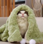Απαλή Κουβέρτα Σκύλου & Γάτας Double Fleece – Sage Green - Image 2