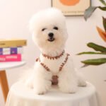 Bear Ice Cream Ribbed Top – Cream Πλεκτό Μπλουζάκι Σκύλου με Κεντητό Αρκουδάκι & Παγωτό - Image 7