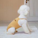 Φορμάκι Περιόδου & Πάνας με Τιράντες – Ριγέ Mustard (VPETER) - Image 3