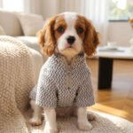 Grey Chevron Zipper Dog Shirt – Γκρι Μπλουζάκι Σκύλου με Φερμουάρ & Ανάγλυφο Μοτίβο - Image 2