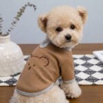 Teddy Bear Waffle Dog Top – Καφέ Μπλουζάκι Σκύλου με Ανάγλυφο Αρκουδάκι & Γκρι Λεπτομέρειες - Image 2