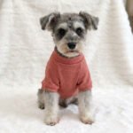 Deer Gary Melange Dog Top – Κεραμιδί Μπλουζάκι Σκύλου με Υφασμάτινη Ετικέτα - Image 3