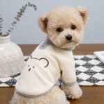Teddy Bear Waffle Dog Top – Κρεμ Μπλουζάκι Σκύλου με Ανάγλυφο Αρκουδάκι & Γκρι Λεπτομέρειες - Image 2