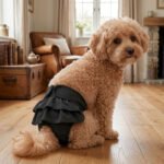 Black Ruffle Dog Diaper Pants – Μαύρη Επαναχρησιμοποιούμενη Πάνα-Βρακάκι με Βολάν - Image 2