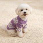 Purple Lace Knit Dog Sweater – Μωβ Πλεκτό Πουλόβερ Σκύλου με Δαντέλα & Κρίκο Harness - Image 2