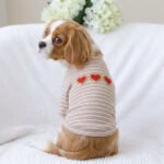 Striped Hearts Dog Sweater – Ριγέ Μπλουζάκι για Σκύλους με Καρδιές - Image 2