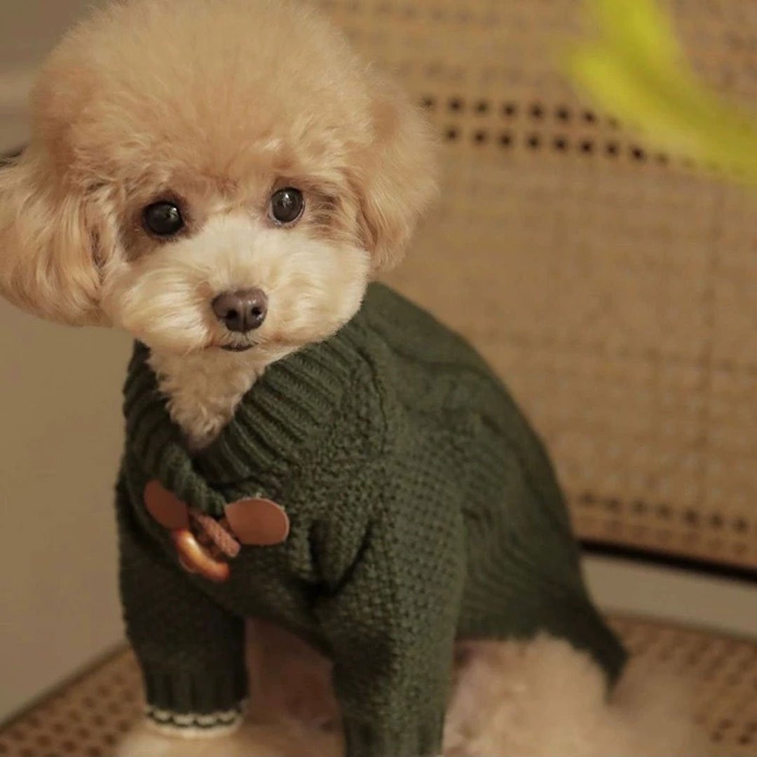 skouro-prasino-plekto-poulover-skylou-duffle (2) Dark Green Knitted Duffle Dog Pullover – Σκούρο Πράσινο Πλεκτό Πουλόβερ Σκύλου με Κουμπιά Duffle - Image 1