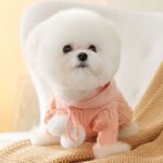 SugarPup Cloud Knit – Αριστοκρατικό Πλεκτό Πουλόβερ με Κουκούλα & Pom-Pom (Powder Pink) - Image 3