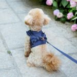 SugarPup Exclusive:Ανατομικό Σαμαράκι με Βολάν & Οδηγό 'Navy chic' - Image 6