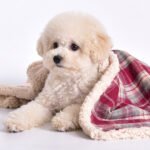 SugarPup Highland Hug – Premium Καρό Κουβέρτα Sherpa - Image 3