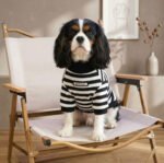 SugarPup Parisian Chic – Ριγέ Ζιβάγκο Πουλόβερ (Black & White) - Image 2