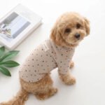 Vintage Dotty Bear Cotton Top – Μπεζ Βαμβακερό Μπλουζάκι Σκύλου με Πουά & Αρκουδάκια (Beige) - Image 2