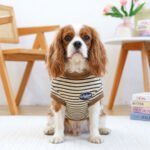 Vintage Striped Ribbed Knit – Ριγέ Πλεκτό Μπλουζάκι Σκύλου (Beige & Brown) - Image 2